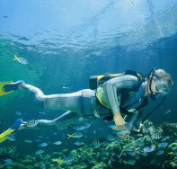 Tijou Reef - Accommodation Fremantle
