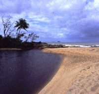 Russell River National Park - Accommodation Fremantle