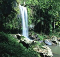Curtis Falls Joalah Section - Accommodation Fremantle