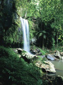 Curtis Falls, Joalah Section - Accommodation Fremantle 0
