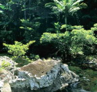 Conway State Forest - Accommodation Fremantle