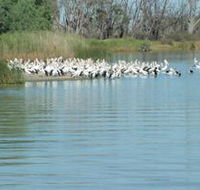 Lake Ross - Accommodation Fremantle