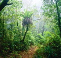Lamington National Park Green Mountains Section - Accommodation Fremantle