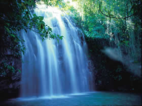 Zillie Falls - Accommodation Fremantle 0