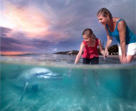 Tangalooma QLD Accommodation Fremantle