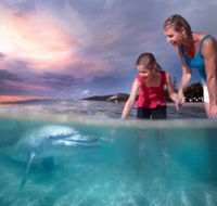 Tangalooma Island Resort - Accommodation Fremantle