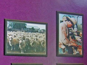 Charleville Photographic Display - Accommodation Fremantle 0
