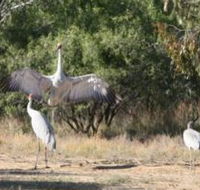 Bulloo River Walk - Accommodation Fremantle