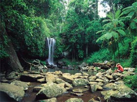 Tamborine National Park - Accommodation Fremantle 0