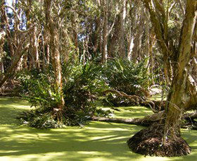 Arkarra Lagoons And Tea Gardens - Accommodation Fremantle 0