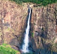 Buujan Quiinbiira Walk Wet Tropics Great Walk - Accommodation Fremantle