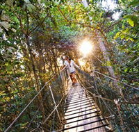 Tree Top Walkway - Accommodation Fremantle