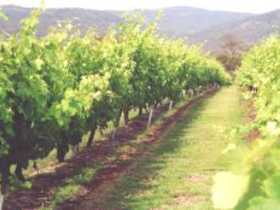 Wyberba QLD Accommodation Fremantle