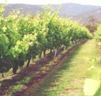 Girraween Estate - Accommodation Fremantle