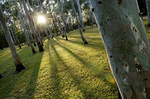 Tondoon Botanic Gardens - Accommodation Fremantle 0