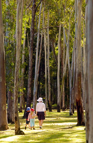 Tondoon Botanic Gardens - Accommodation Fremantle 3