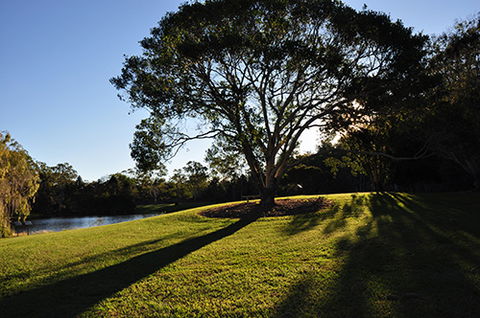 Tondoon Botanic Gardens - Accommodation Fremantle 4