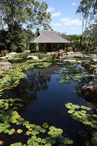 Tondoon Botanic Gardens - Accommodation Fremantle 8