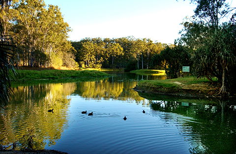 Tondoon Botanic Gardens - Accommodation Fremantle 9