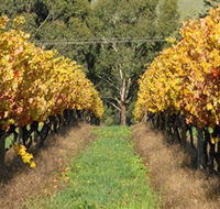 Wild Dog Winery  Restaurant - Accommodation Fremantle