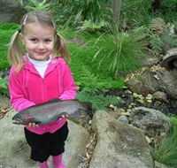 Wild Food Farm  Cafe - Accommodation Fremantle
