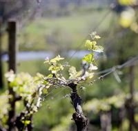 Downing Estate - Accommodation Fremantle