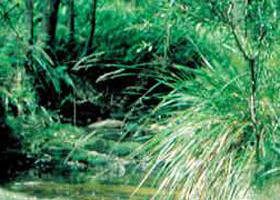 North Blackwood VIC Accommodation Fremantle