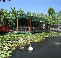 Blue Lotus Water Garden - Accommodation Fremantle