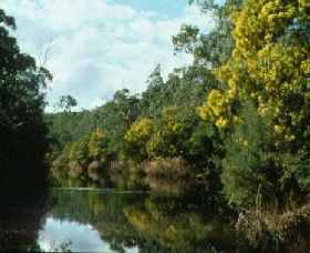 Warrandyte State Park - Accommodation Fremantle 0