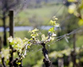 Norton Estate Wines - Accommodation Fremantle 0