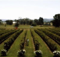 Rochford Wines - Accommodation Fremantle
