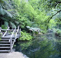 Alfred Nicholas Gardens - Accommodation Fremantle