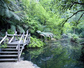 Alfred Nicholas Gardens - Accommodation Fremantle 0