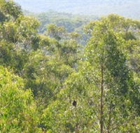 Bunyip State Park - Accommodation Fremantle