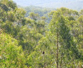 Bunyip State Park - Accommodation Fremantle 0