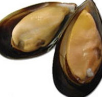 Sea Bounty - Accommodation Fremantle