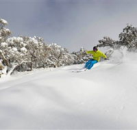 Mt Buller and Mt Stirling Alpine Resort - Accommodation Fremantle