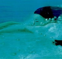 Muse - Accommodation Fremantle