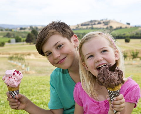 Yarra Valley Chocolaterie & Ice Creamery - Accommodation Fremantle 6