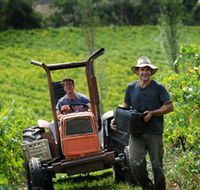 Kellybrook Winery  Kelly Brothers Cider - Accommodation Fremantle
