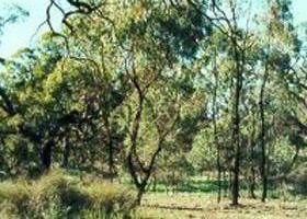 Appin South VIC Accommodation Fremantle