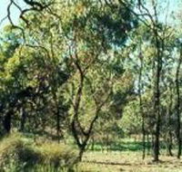 Leaghur State Park - Accommodation Fremantle