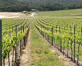 M Chapoutier Australia - Accommodation Fremantle 0