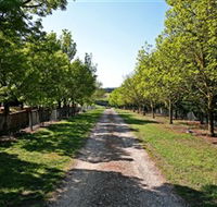 Waybourne Winery - Accommodation Fremantle