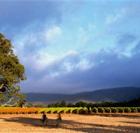 Mount Avoca - Accommodation Fremantle