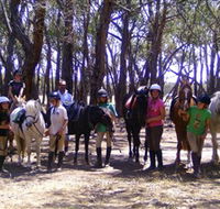 Bellarine Horse Riding Centre - Accommodation Fremantle