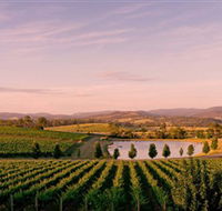Oakridge Wines - Accommodation Fremantle