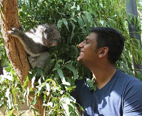 Healesville Sanctuary - Accommodation Fremantle 0