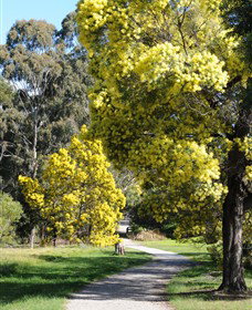Surrey Hills VIC Accommodation Fremantle