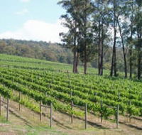 Piedmont Vineyard - Accommodation Fremantle